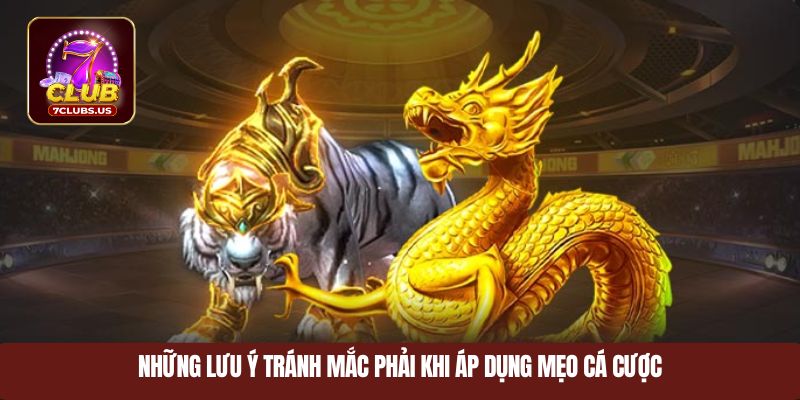 Những lưu ý tránh mắc phải khi áp dụng mẹo cá cược