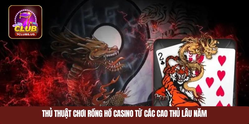 Thủ thuật chơi rồng hổ casino từ các cao thủ lâu năm