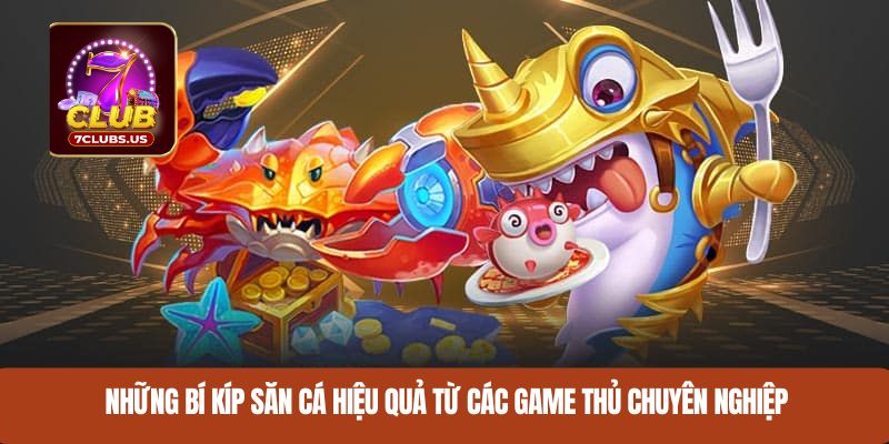 Những bí kíp săn cá hiệu quả từ các game thủ chuyên nghiệp